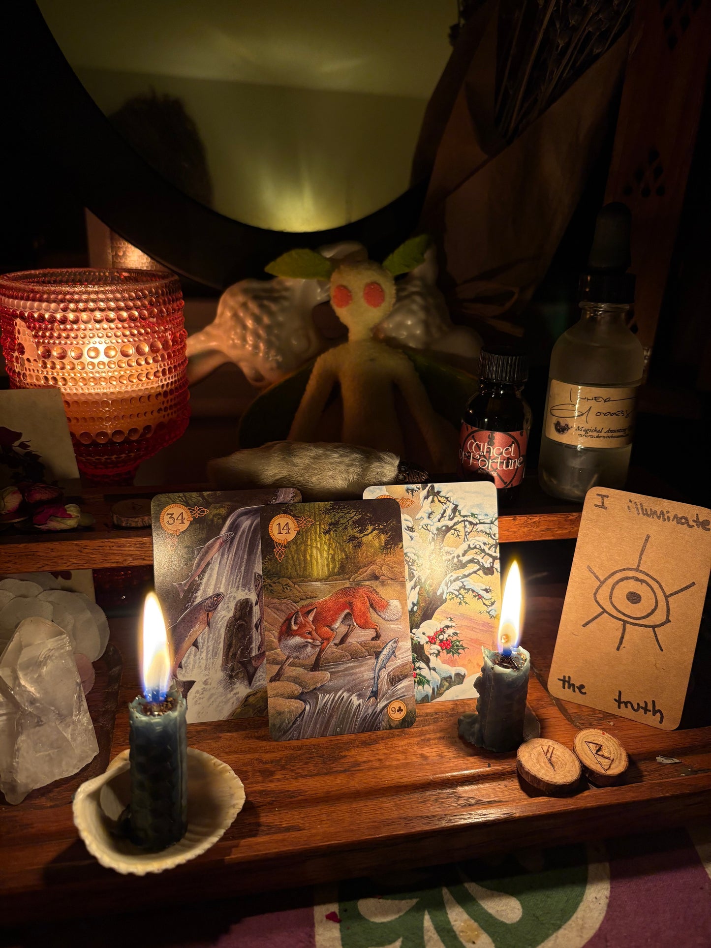 TikTok/Twitch Live Readings