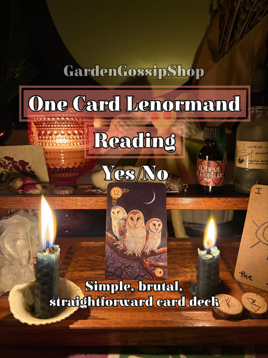 One Card Lenormand Reading | Yes or No