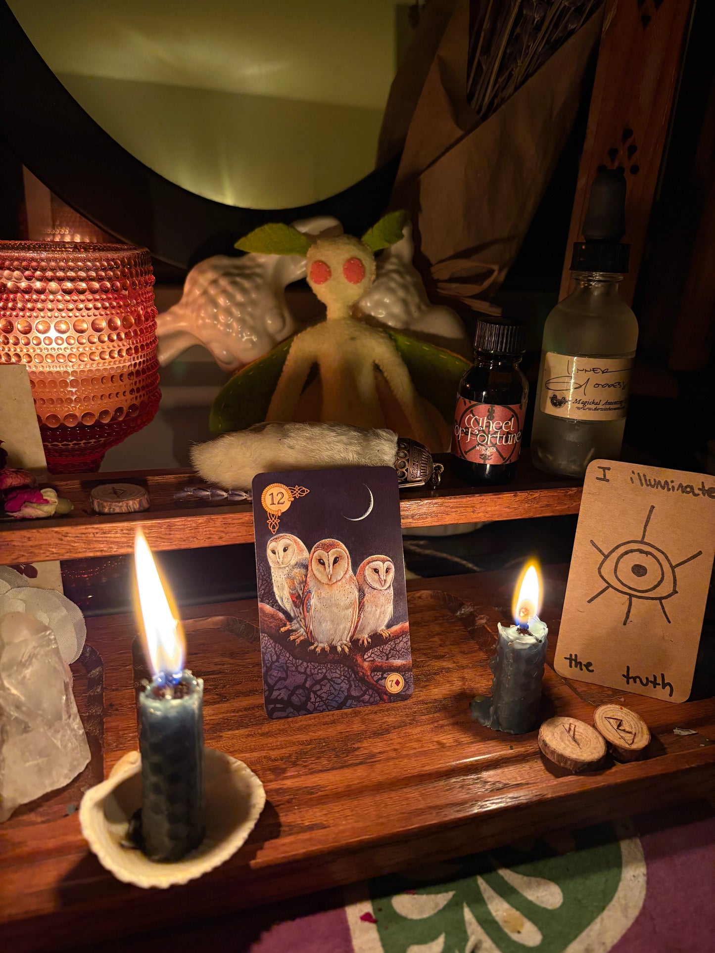 One Card Lenormand Reading | Yes or No