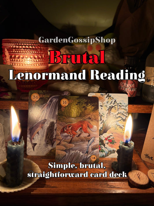 Premium Lenormand Card Reading