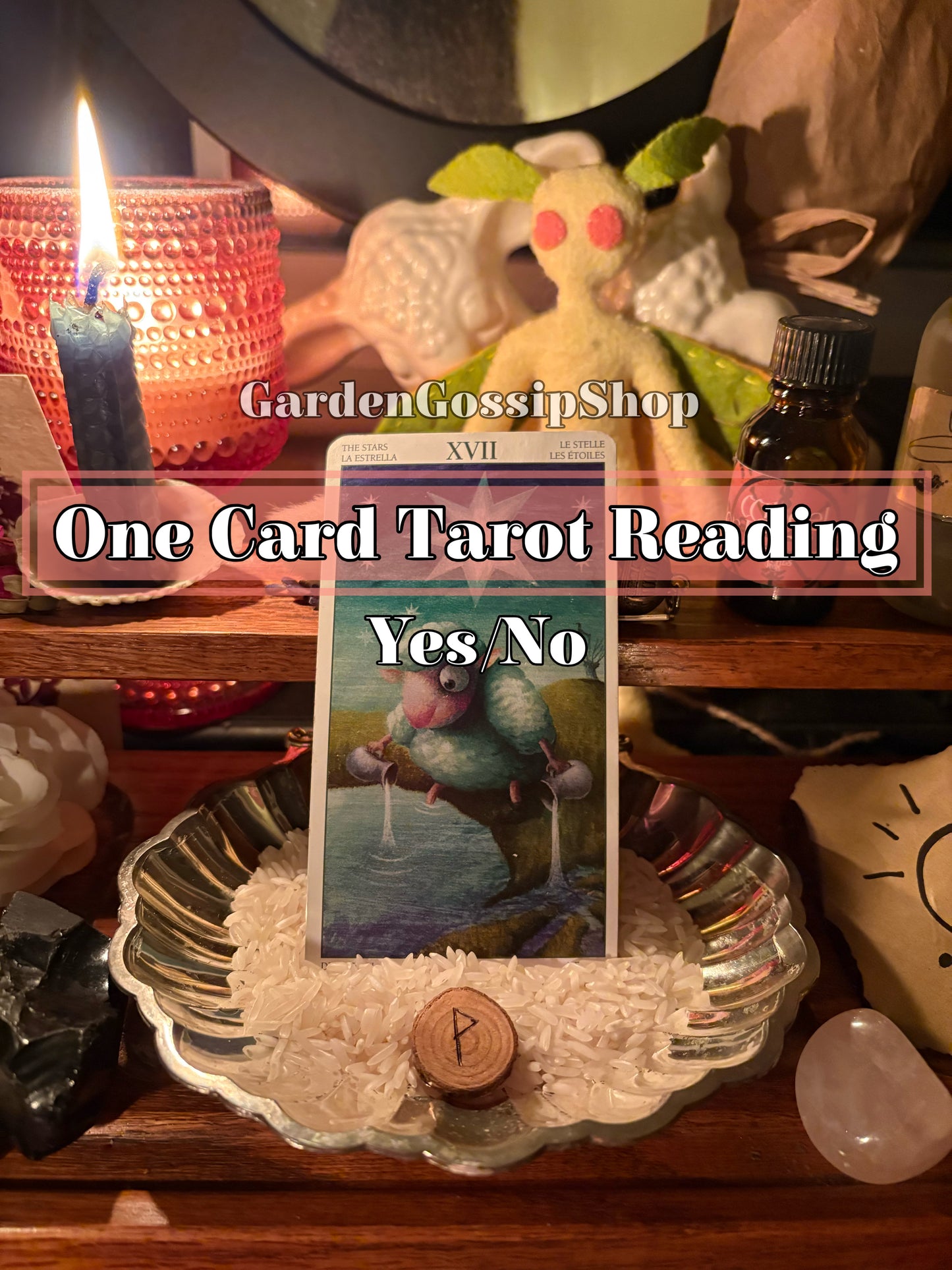 One Card Tarot Reading | Yes or No