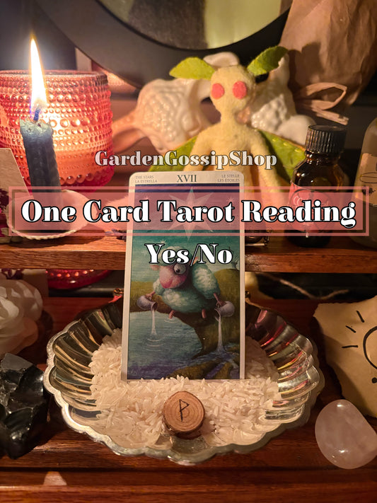 One Card Tarot Reading | Yes or No