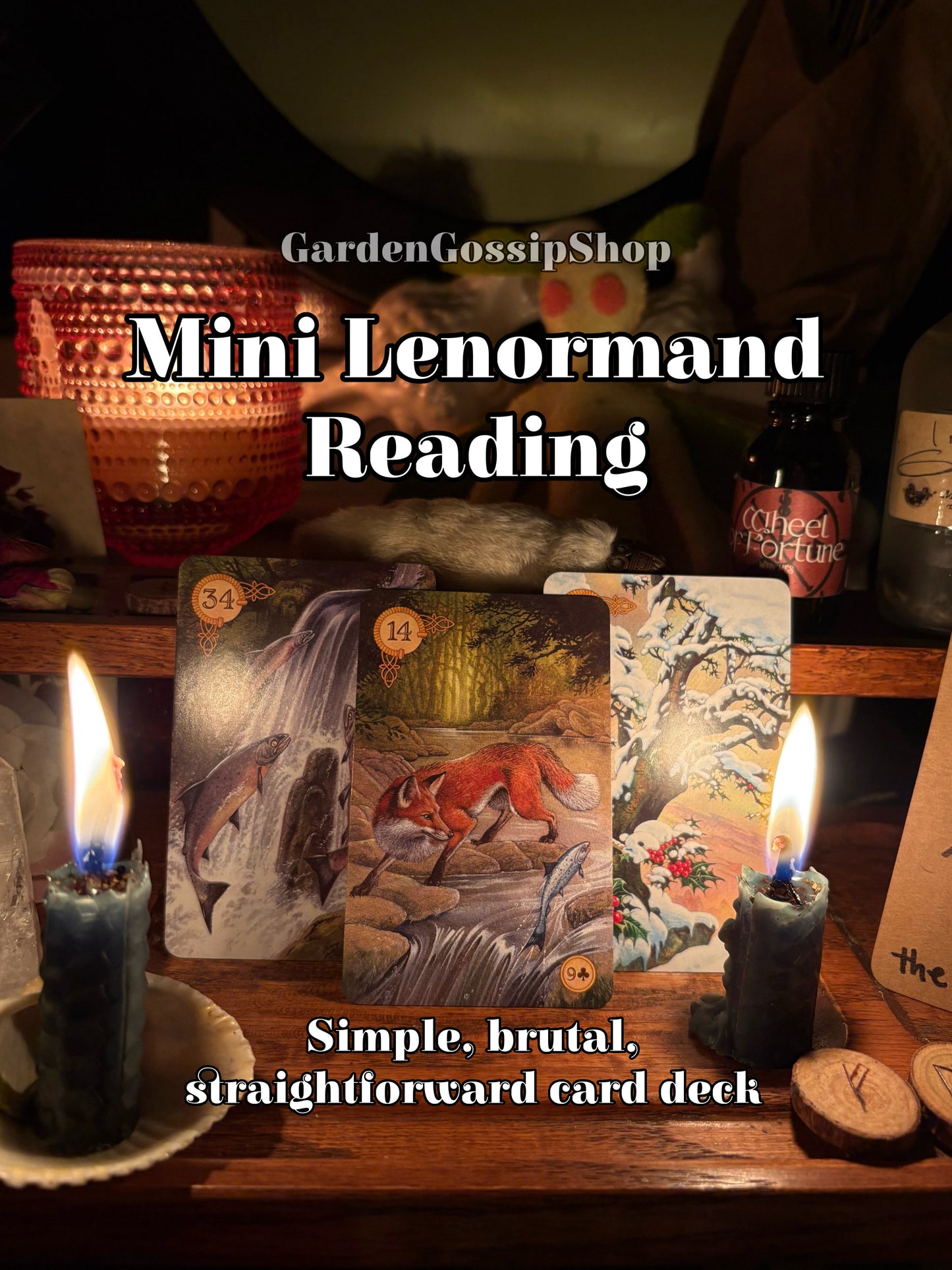 Mini Lenormand Card Reading
