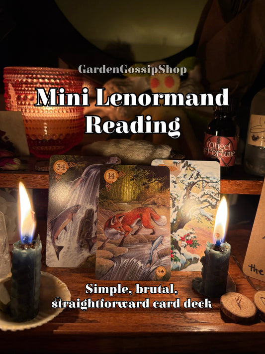 Mini Lenormand Card Reading