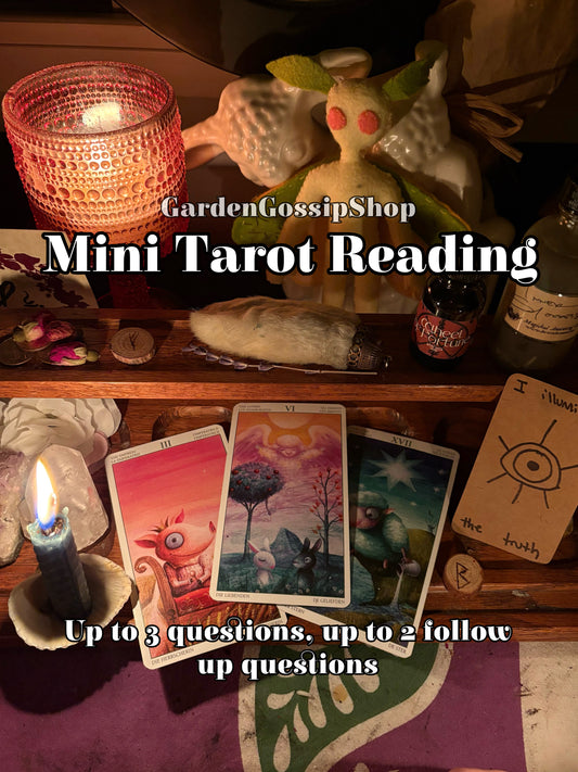 Mini Tarot Reading